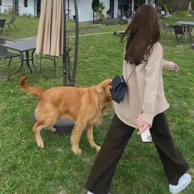 谁杀了她